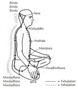 Texte de remplacement généré par une machine : Mooladhara
Mooladhara
Mooladhara
— Exhalation
— Inhalation
Bindu
Bindu
Bindu
Manipura
histhana