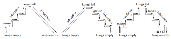Texte de remplacement généré par une machine : Lungs full
Lungs empty
Lungs full
r
Lungs empty Lungs empty Lungs empty